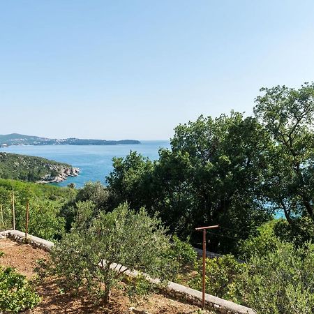 Villa Barbara Млини Екстериор снимка